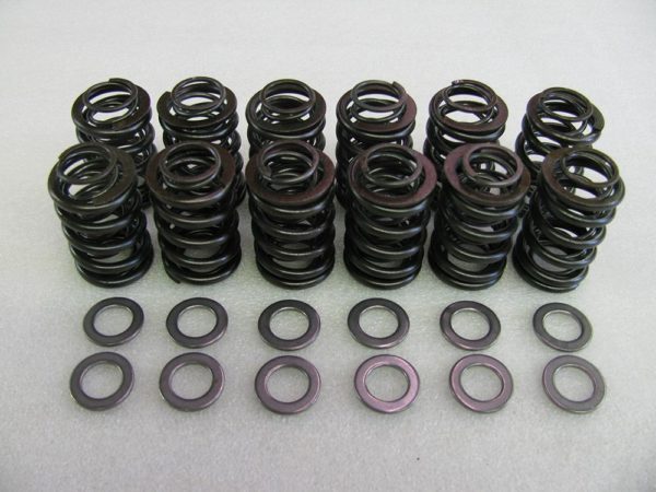 Valve Spring Kit, .500 Lift