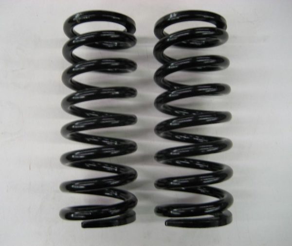 Rear Springs